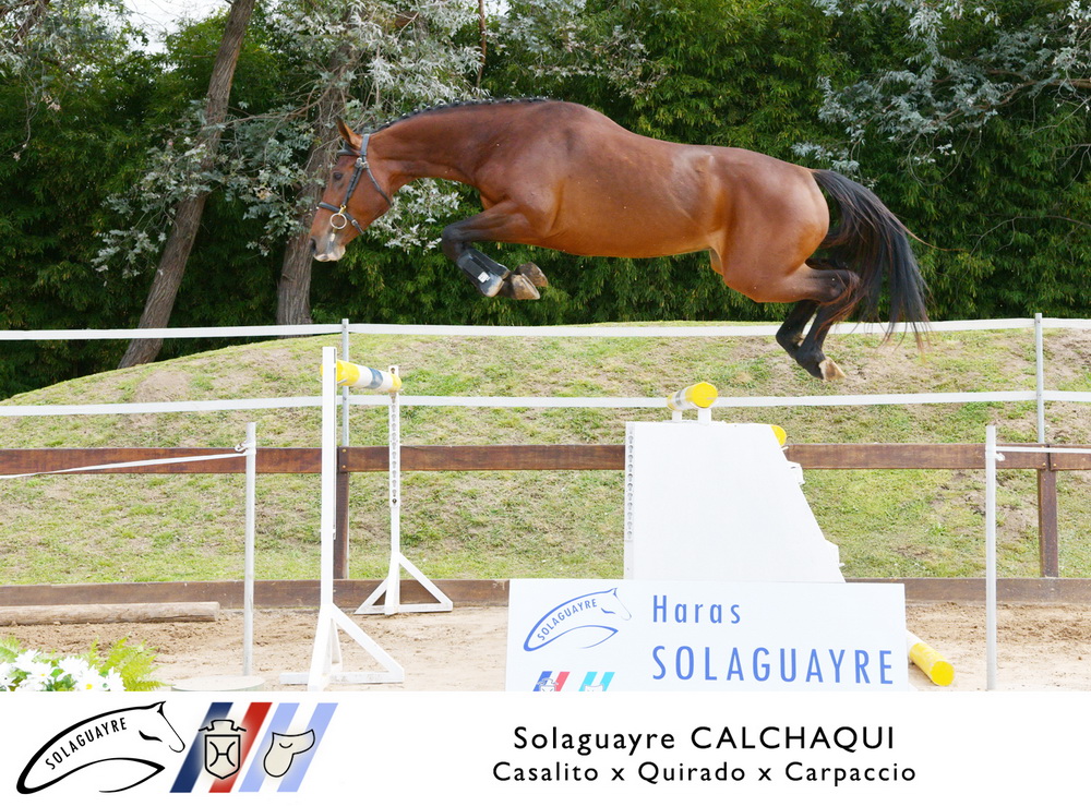SOLAGUAYRE CALCHAQUI